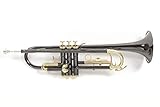 Roy Benson Bb-Trumpet TR-101K (alesaggio ML, valvole in acciaio inossidabile, leadpipe in ottone dorato, design elegante, custodia rettangolare leggera, con funzione di zaino), Antracite