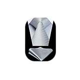 HISDERN Cravatte uomo Grigio e Argento da matrimonio e Fazzoletto Cravatte fantasia plaid elegante classica business cravatta set