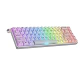 Ranked Master M65 HE 65% | Rapid Trigger Technology | Magnetic Mechanical Gaming Keyboard | 68 Keys RGB LED for PC/Mac Gamer | US Layout (POM Dye Sub Limited Edition, Clear Switch)