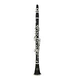 Proel GR SCL360 Grassi - Clarinetto in Sib 17 chiavi con sistema Boehm e corpo in ABS e con Astuccio in Foam