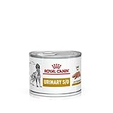 ROYAL CANIN Veterinary Urinary S/O Mousse | 12 x 200 g | Alimento Completo dietetico per Cani | può contribuire alla dissoluzione dei calcoli di Struvite | proprietà di diluizione urinaria