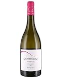 Toscana Vermentino IGT La Pettegola Banfi 2020 0,75 L