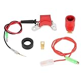 Jadeshay Accensione Elettronica,Conversione Accensione Elettronica Kit Scintilla di Accensione Compatibile con 25D e DM2