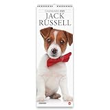 Calendario Jack Russell Long 2025