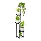 Bamworld Porta Piante da Esterno Interno Portavasi da Interno Portavasi Ferro Supporto per Piante Scaffale per Piante da Balcone(Nero)(22.3x22.3x116cm)