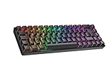 Ranked Master M65 HE 65% | Rapid Trigger Technology | Magnetic Mechanical Gaming Keyboard | 69 Keys RGB LED for PC/Mac | Azerty France & Belgium Layout (Black, Clear Switch)