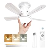 VARICART Ventilatore da Soffitto con Luce e Telecomando, Lampadario Ventilatore Silenzioso LED Dimmerabile, 3 Temperature di Colore 3000K-6000K Lampada con Ventilatore da E27, 5 Pale, 6 Velocità