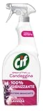 Cif Spray Attivo con Candeggina, Profumo Lavanda, 650 ml, per le Superfici di Tutta la Casa e Pretrattante sui Tessuti Bianchi*, Formula con Potere Sbiancante, Adatto per Aree Dove si Cucina