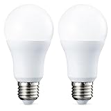 Amazon Basics - Confezione da 2 lampadine a LED, con attacco Edison E27, piccole, da 10 W (equivalenti a 75 W), luce bianca calda, non dimmerabili