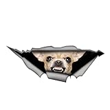 MUEdie Car Sticker Chihuahua Decal Torn Metal Car Sticker Funny Wild Animals Bumper Window 3D Car Accessory 13cm x 4.8cm