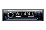 Blaupunkt BPA 1124 DAB BT, autoradio 1-DIN, DAB+, Bluetooth, vivavoce, 2 x USB, ingresso Aux, Sub-Out, Multicolore, 200 Watt