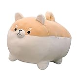 OUKEYI Peluche a forma di Shiba Inu, peluche a forma di anime, con corgi kawaii, peluche Shiba Inu, peluche per cani e bambole, regalo per ragazze e ragazzi (40,6 cm)