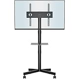 BONTEC Supporto TV da Pavimento per Schermi Plasma/LCD/LED 23-60 Pollici con Ruote, Carrello Staffa Porta Mobile Supporto TV Fino a 25 kg, Max VESA 400 x 400 mm