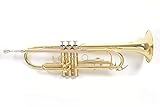 Roy Benson Bb-Trumpet TR-101 (progettato professionalmente con alesaggio ML, con leadpipe in ottone dorato, custodia rettangolare leggera inclusa, con set di zaini)