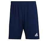 adidas Entrada22 Training Shorts Pantaloncini, Team Navy Blue 2, M Uomo