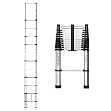 Scale estensibili 7m/6m/5m/4m/3m/2m Scala estensibile alta, scale telescopiche per tetto casa loft, scala pieghevole multiuso leggera e portatile capacità 330 libbre (argento 3,9 m/12,7 piedi)