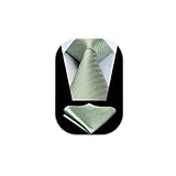 HISDERN Cravatte uomo Verde chiaro da matrimonio e Fazzoletto Cravatte fantasia plaid elegante classica business cravatta set