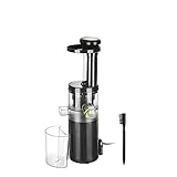 KASANOVA Estrattore frutta e verdura, estrattore di succo, estrattore professionale, estrattore a freddo 80 W slim