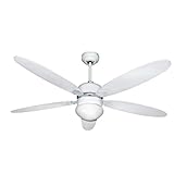 EFFE 6201-VENTILATORE da SOFFITTO (5PALE-132CM, Bianco)