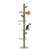 PAWZ - Tiragraffi a forma di catus, da terra fino al soffitto, tiragraffi a torre per gatti con altezza regolabile (229-275 cm), 5 ripiani, con comoda amaca, ripiani e palline penzolanti