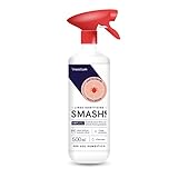 Spray anti zecche e spray antipulci per ambienti | AMP 2 CL Antipulci e zecche 500 ml | Anti zecche e pulci interno ed esterno (1x 500 ml)