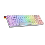 Ranked Master M65 HE 65% | Rapid Trigger Technology | Magnetic Mechanical Gaming Keyboard | 69 Keys RGB LED for PC/Mac Gamer | QWERTZ German Layout (POM Dye Sub Limited Edition, Clear Switch)