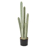 Hollyone Piante di cactus finte alte 75 cm in vaso, grande cactus artificiale Cephalocereus Senilis finto "vecchio cactus", piante finte realistiche in vaso per decorazione domestica, cucina, balcone,