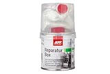 AUTO-PLAST PRODUKT App Reparatur Box | Kit di Riparazione in vetroresina | Resina Poliestere + Vetroresina + Indurente | 250 g