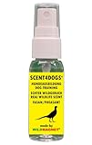 Wildmagnet Scent4Dogs - Profumo di fagiano selvatico (30 ml)