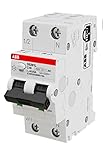 ABB DS201 LH Interruttore Differenziale Magnetotermico 4,5KA 1P+N 30ma 2 moduli classe AC (DS201LHC10AC30 10A (EX DS91LC10AC30))