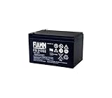 FG-21202 Batteria al piombo FIAMM 12V 12Ah