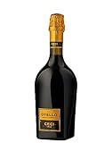 Emilia IGT Nero di Lambrusco Otello Cantine Ceci