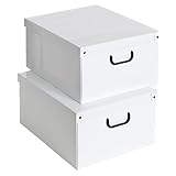 Lavatelli Set 2 pezzi Scatole armadio in cartone, organizer per vestiti e biancheria, per cambio stagione, Bianco 50x40xh25 cm