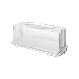 Rotho Fresh Contenitore per Torte con Cappuccio e Maniglia per il Trasporto, Plastica (PP) senza BPA, Bianco, 36.0 x 16.5 x 16.5 cm