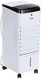 ARDES AR5R06D Raffrescatore Evaporativo, Compatto e Potente, Umidificatore con 3 Velocità, Flusso d Aria Oscillazione Automatica, Timer, Telecomando e Filtro Antipolvere, Bianco, 56 x 22.7 x 26.8 cm