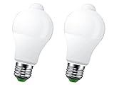 LEDLUX Lampada Led E27 Con Sensore di Movimento, 12W 1050 Lumen, Forma Bulbo A60, Bianco Freddo 6500K (2)