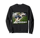 OK Zoomer (Okay Boomer) - Cane Doggy zoomies zooming Felpa