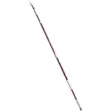 Fishing Ferrari Canna Bolognese 8 Mt Dream Carbonio Alto Modulo