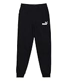 Puma Ess Logo Pants TR cl B